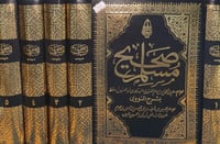 صحيح مسلم بشرح النووي 5/1