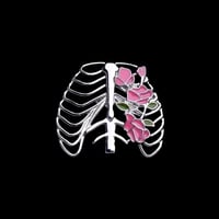 دبوس القفص الصدري