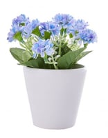 إناء مع أزهار Blue Flower
