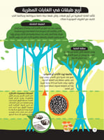 الكون - أرقام مذهلة ومعلومات مدهشة
