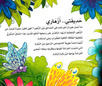 اكتشف عالم الفراشات