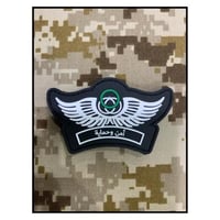 ونق امن وحماية ربل اسود