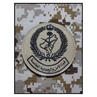 شعار قوة الامن والحماية الخاصة حفر بني