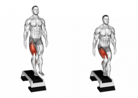 خطوة ( ستيب )