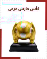 كأس حارس مرمى
