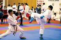 واقي قدم و ساق كاراتيه