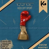 كأس الملاكمة