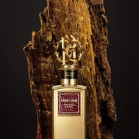 عطر روبرتو كفالي ماجنيتيك جواياك بارفيوم 100مل