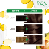 صبغة كولور ناتشرلز كريم من قارنييه - بني فاتح