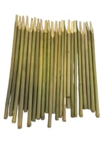 قصب شمالي حجم عشوائي