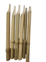 قصب بامبو شمالي عقدة بالوسط - رقم 144500011