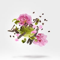 عطر زيرجوف تيمبيست او دي بارفيوم 50 مل