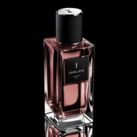 عطر اف سان لوران لافالير لوشيوس فيج أو دو برفيوم 1...