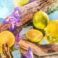 عطر روجا اوسيانيا بارفيوم كولون 100مل