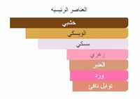 عطر ناسوماتو باروندا اكستربت دو برفيوم للجنسين 30م...