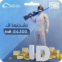 24,300 شدة