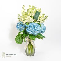 فازة زهر الكوبيَّة