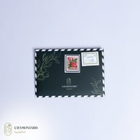 فازة الليليوم الكبيرة