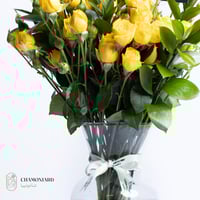 فازة البيبي روز والسفندر