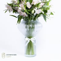 فازة الإستوماريا