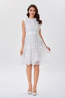 فستان دانتيل ابيض بياقة كشكش