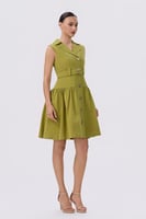 فستان قصه الجاكيت قصير باللون الأخضر الكيوي