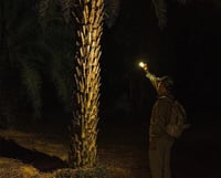 كشاف (A28) 1000 لومنز - 150 متر - 850 ملي امبير -...