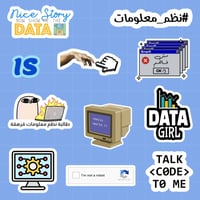 نظم معلومات