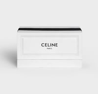 مجموعه عطور سيلين الخاصه ميني10 مل مع الملحقات