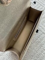 شنطة كافيار كلاسيك هارد ذهبي – مقاس 20