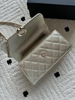 شنطة كافيار كلاسيك هارد ذهبي – مقاس 20