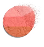 باليت بلاشر من ربيع ٢٠٢٥شانيل اصدار محدود