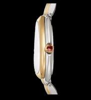 ساعة سيربنتي سيدوتوري مكس جولد سلفر ملحقات ماستر