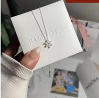 سلسال باندورا PANDORA فضيي شامل الملحقات