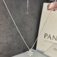 سلسال باندورا PANDORA فضيي شامل الملحقات