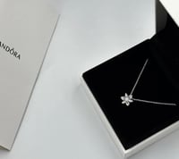 سلسال باندورا PANDORA فضيي شامل الملحقات