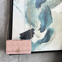 شنطه ديور بينك