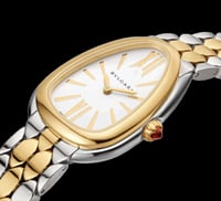 ساعة سيربنتي سيدوتوري مكس جولد سلفر ملحقات ماستر