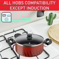 قدر تيفال تيمبو فلامي 20 سم