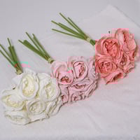 بنش بيوني وردي فاتح