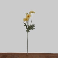 غصن الديزي ليلك