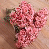 ورد روز موف