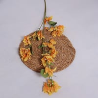 غصن الربيع اصفر