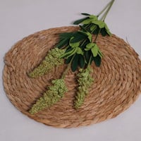 غصن لافندر زيتي