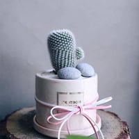 رول ربل احمر (50متر)