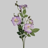 غصن زهور موف