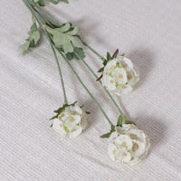 غصن زهور دائرية ابيض