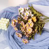 زهور الاقحوان ميني بيج