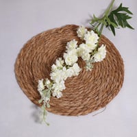 الدلفينيوم ابيض شبه الطبيعي