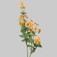 غصن بزهور اصفر